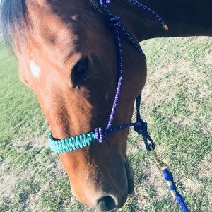 Meet your Posher, Riley